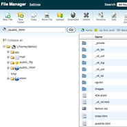 Using the File Manager